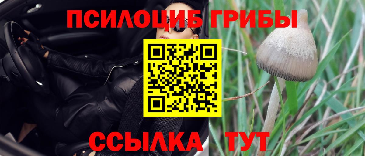 Галлюциногенные грибы GOLDEN TEACHER Ухта