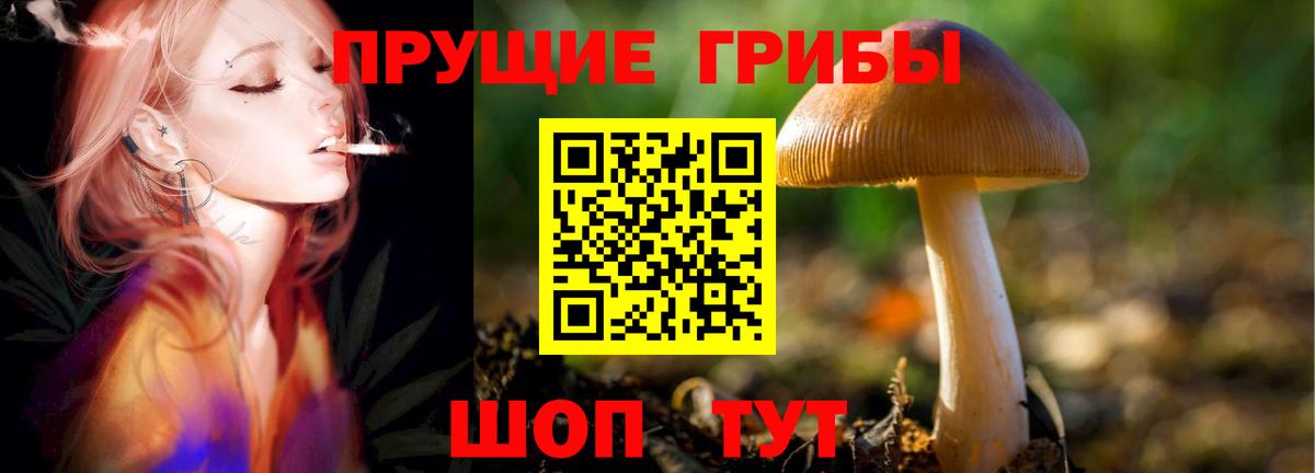 Псилоцибиновые грибы Psilocybine cubensis  Галлюциногенные грибы мухоморы  Вход с VPN  Ухта 